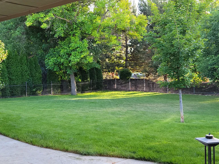 back yard - view from patio