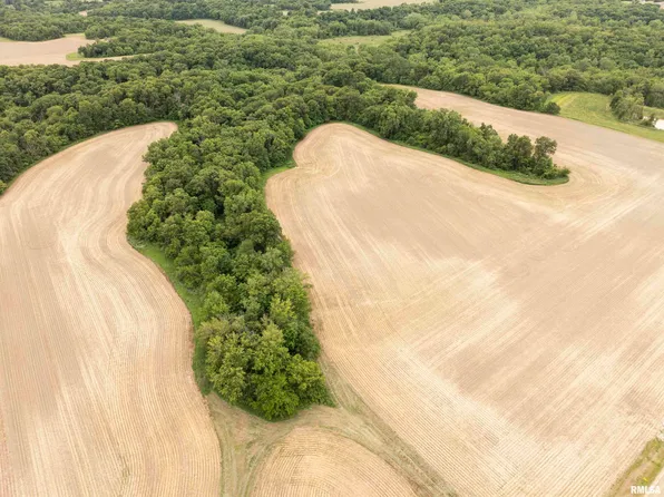 0 W Todd School Rd, Glasford, IL 61533