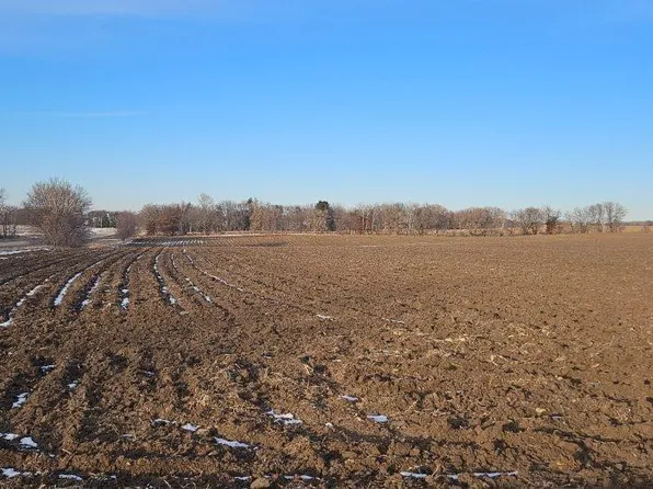 PARCEL 5 Willow Rd NE, Carlos, MN 56319