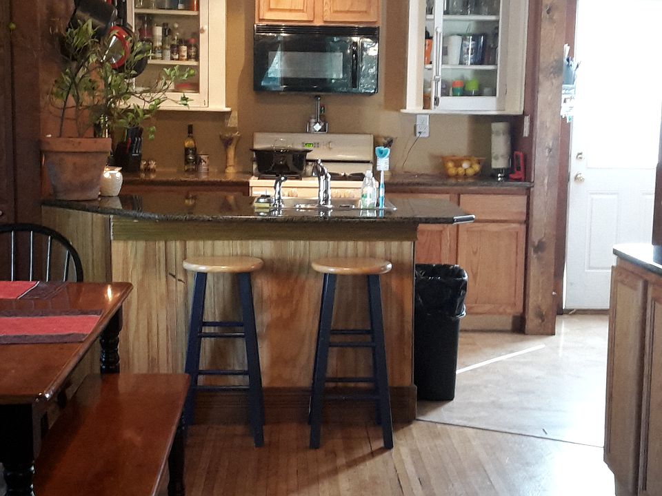 view from dining room 