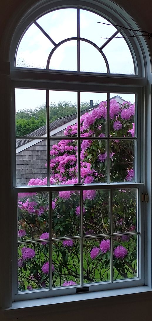  BEAUTIFUL FLOWERS
