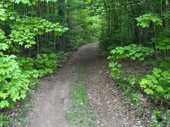 1043 Lawrence Pit Rd, Muskoka Lakes, ON P0B 1M0