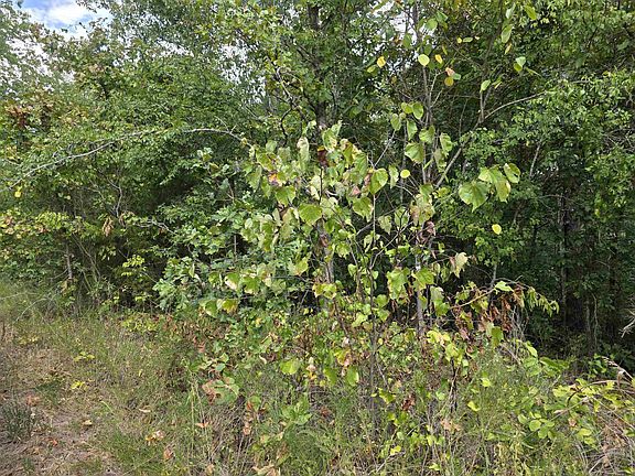 5th image of L8 B3 62/412 Hwy