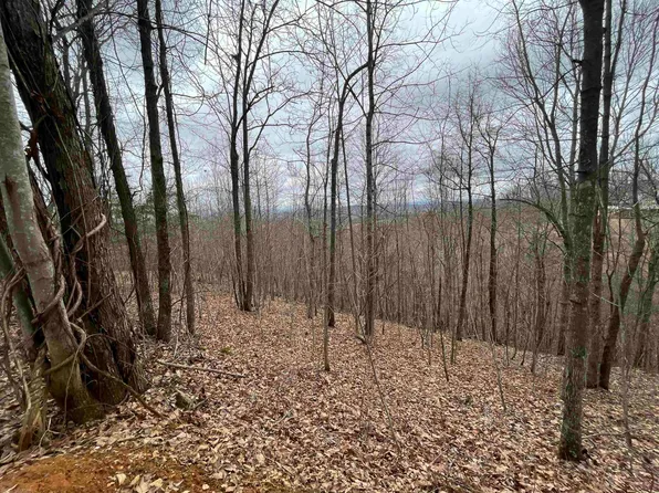 871 Cornstalk Rd, Riner, VA 24149