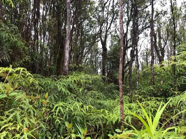 Ahiukau St Lot 38, Mountain View, HI 96771