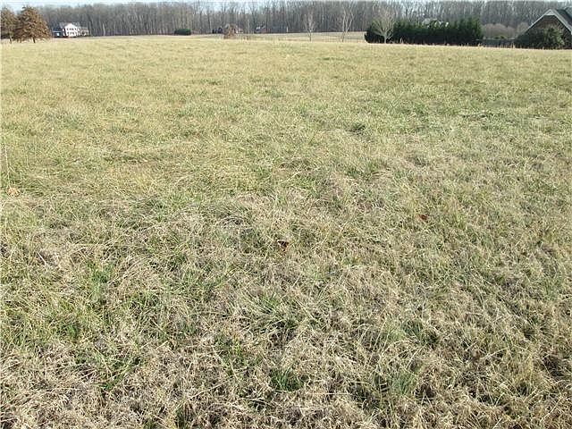 2nd image of 2421 Jack Teasley Rd