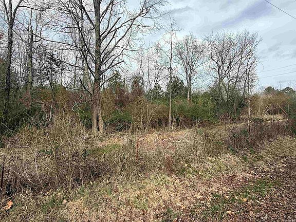 3rd image of 0 W Brownfield St