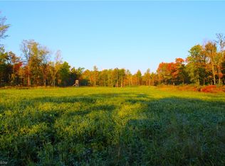 5681 State Rd N #84, Geneva, OH 44041