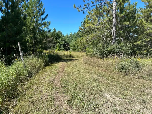 2350 Bean Creek Rd, Lachine, MI 49753