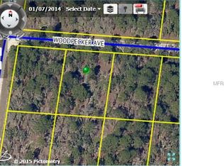 11164 Woodpecker Ave, Weeki wachee, FL 34614