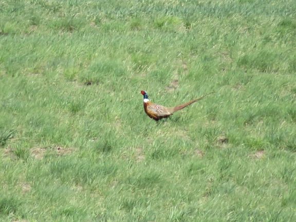 4th image of 18 Vernon Rd