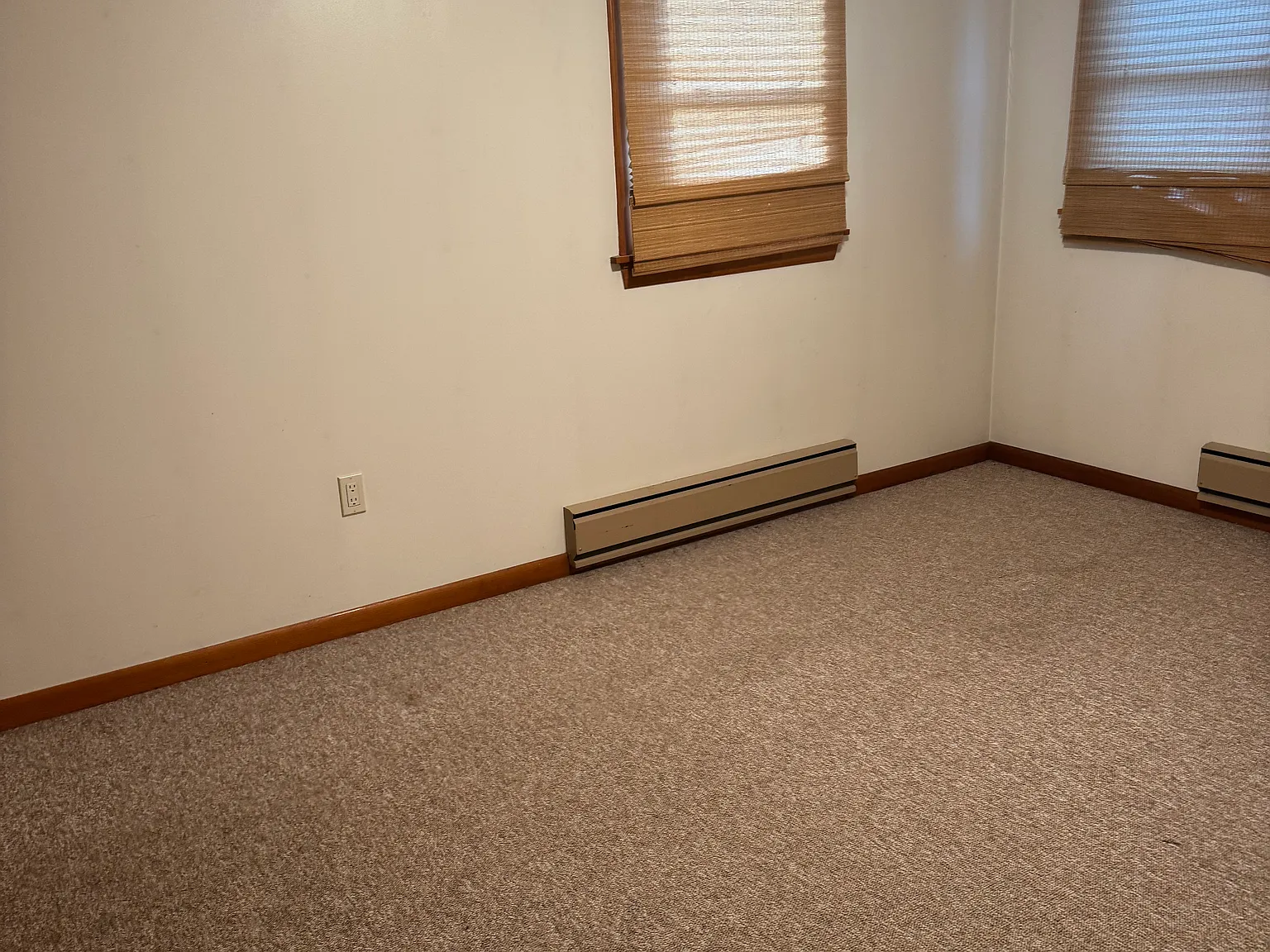 1 bed, 780 sqft, $1,250 — Photo 2
