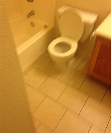 5th image of 315 Towne House Ln