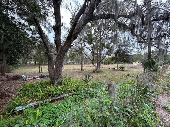 8219 E Cooper Ln, Floral City, FL 34436