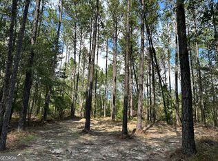 0 Old Carter Rd, East Dublin, GA 31027