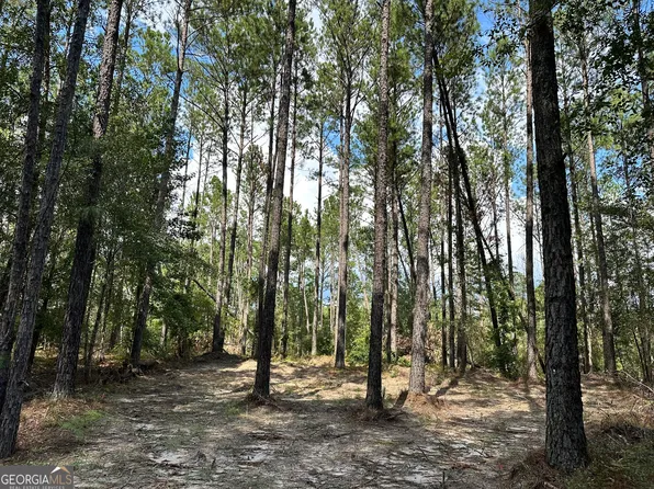 0 Old Carter Rd, East Dublin, GA 31027