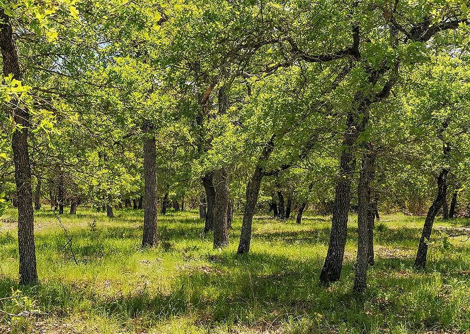 1st image of 9 & 10 Mystic Oaks Trl