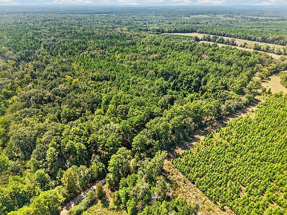 2nd image of L5196 County Road 898