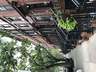 Rented by North City Living, LLC