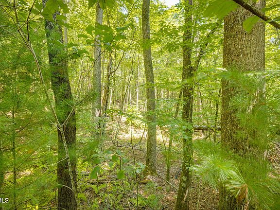 5th image of 13 Black Bear Dr