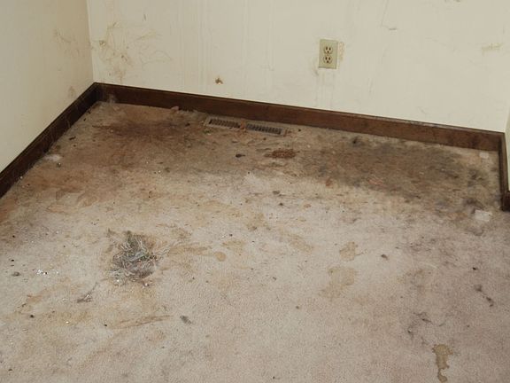 Hole in Carpet from water damage
