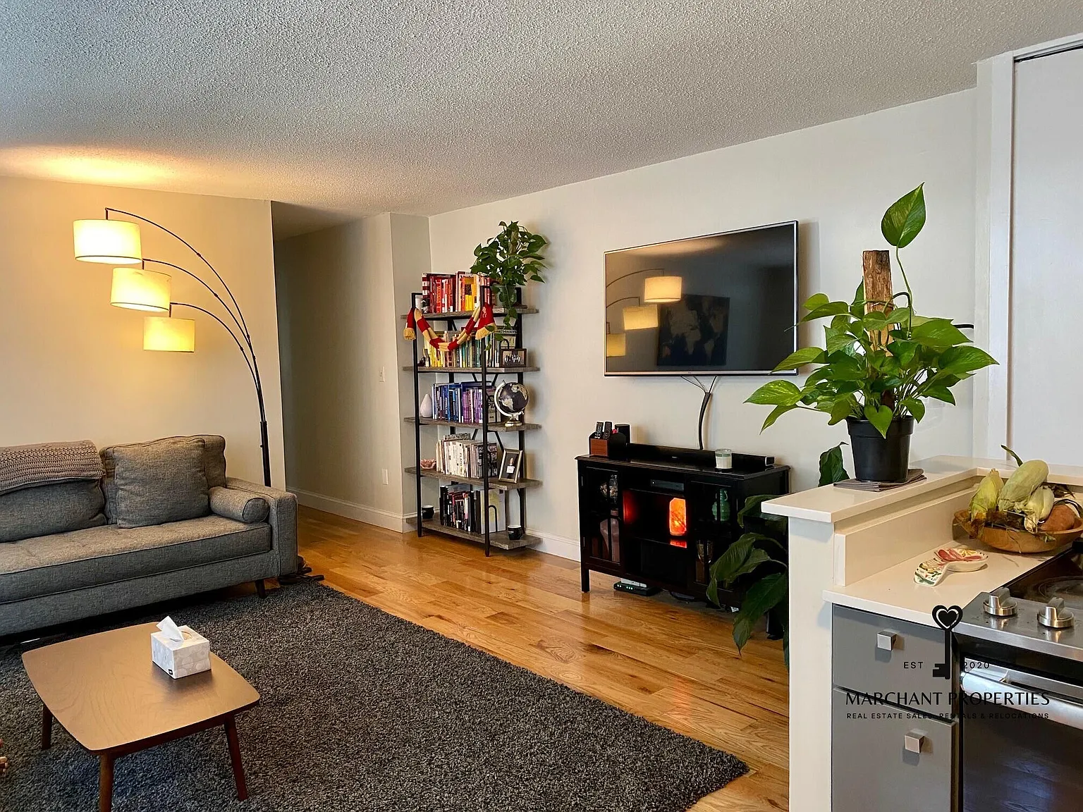 1 bed, 567 sqft, $2,350 — Photo 2