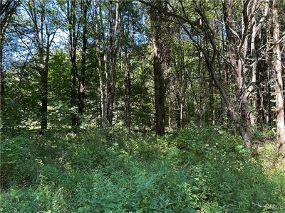 33 Austin Rd #1, Altmar, NY, 13302