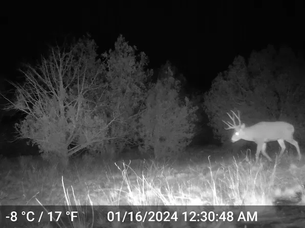 391 Juniper Ranch Road #109, Ash Fork, AZ 86320