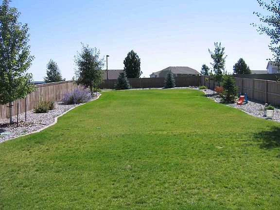 Huge Back Yard