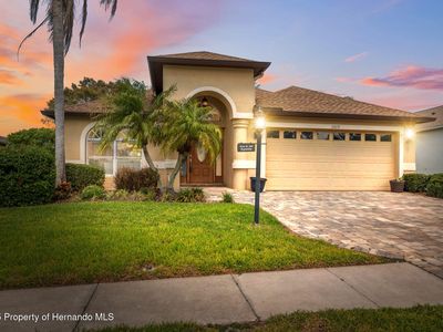 11631 Wayside Willow Ct, Hudson, FL, 34667