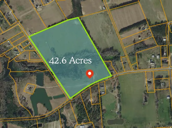 873 Rabon Rd. #42.6 acres, Aynor, SC 29511