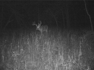 SE 850th Rd, Leeton, MO 64761