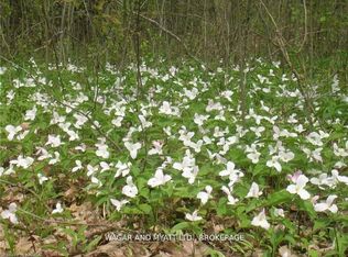 Bridge St W, Greater Napanee, ON K7R 2C7