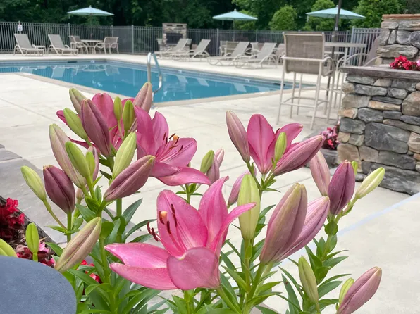 500 Vista Lake Dr APT 4, Candler, NC 28715