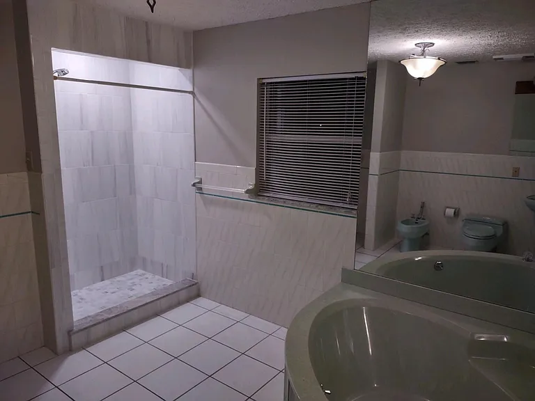Main bathroom view of the shower and garden tub