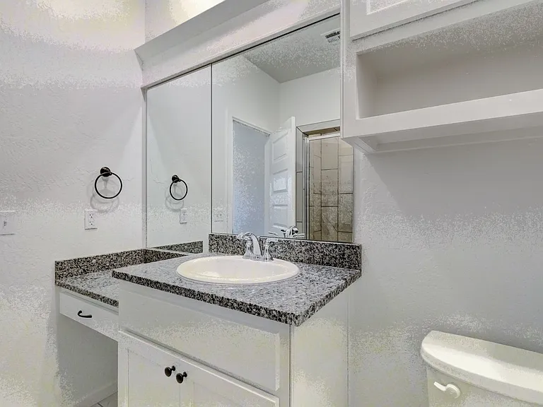 1129 Carpe Diem Ct — Photo 9