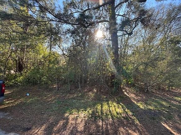 2nd image of 209 John Dr