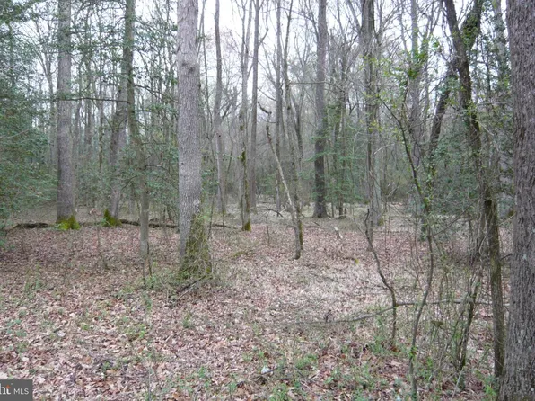 0 Trunk Line Rd, Henderson, MD 21640