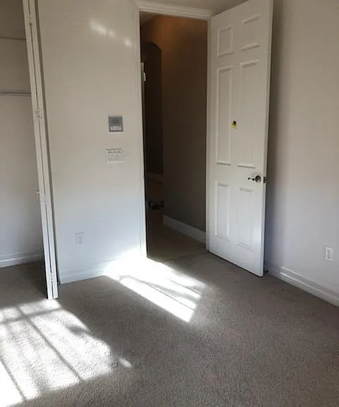 11225 Sparkleberry Dr — Photo 31