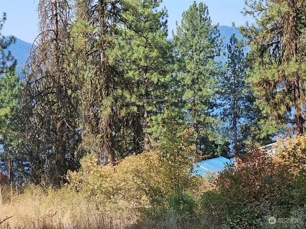 8 Cowichan Drive, Inchelium, WA 99138