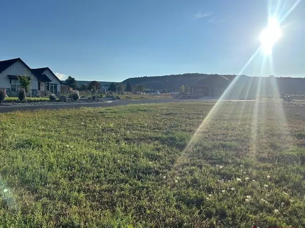 320 SE Limestone Court, Cedaredge, CO 81413