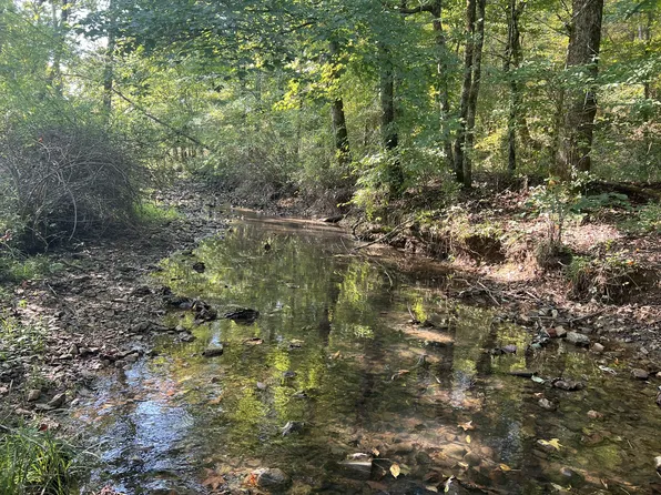 0 Morrison Creek Rd, Clifton, TN 38425