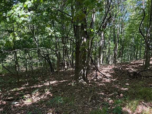 3rd image of 0 Black Walnut Rd