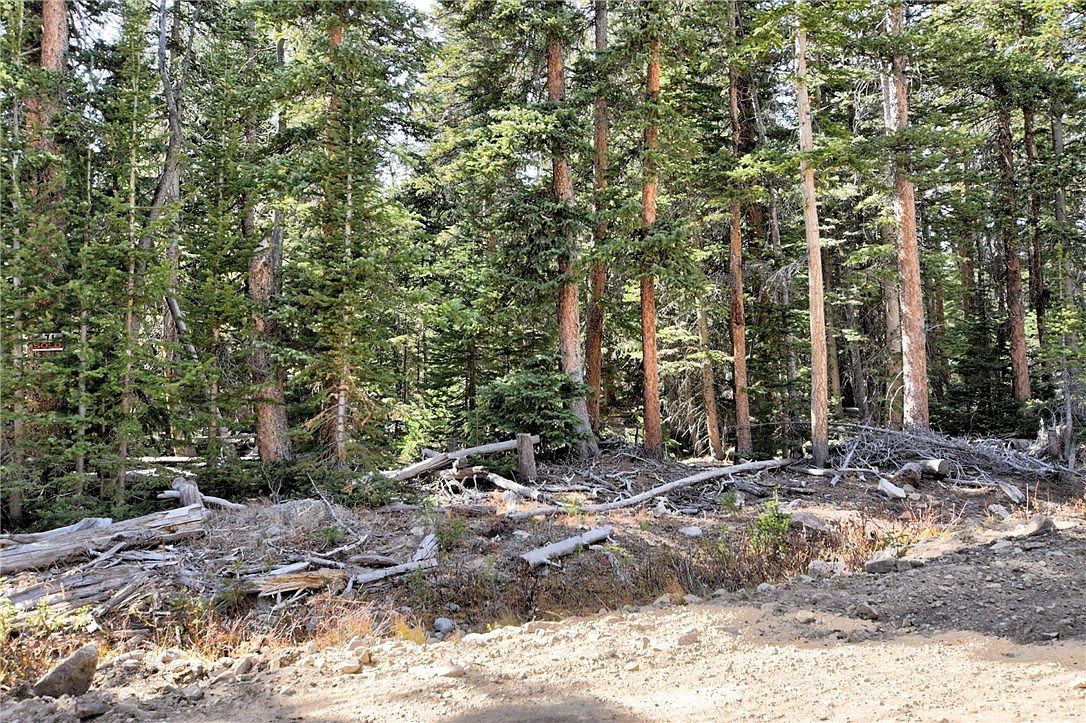 585 Porcupine Rd, Fairplay, CO 80440 Zillow