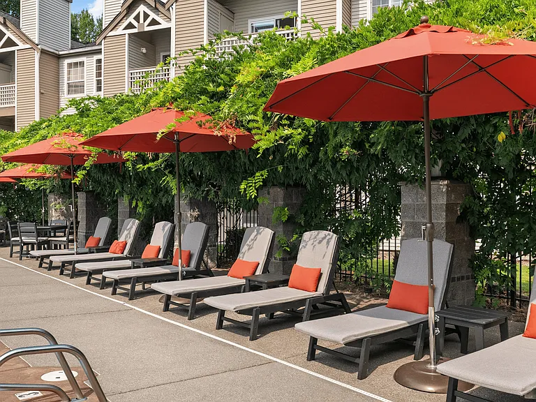Comfortable loungers with shaded umbrellas