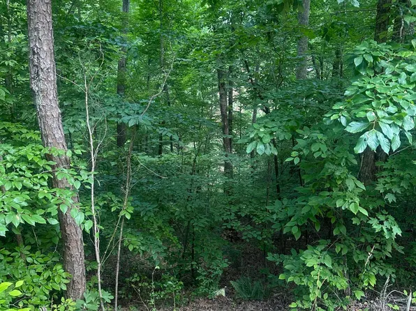 Dogwood Trl, Maynardville, TN 37807