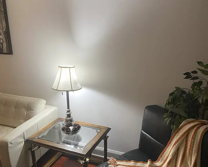 Chaise lounge gets lots of natural light from glassed wall/sliding door beside it