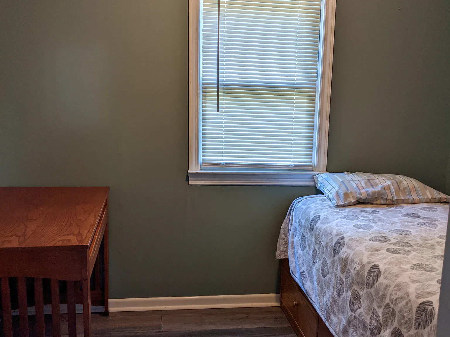 497 Spring Lake Rd — Photo 3