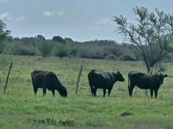 0 County Road 18 #2 & 3, Hallettsville, TX 77964