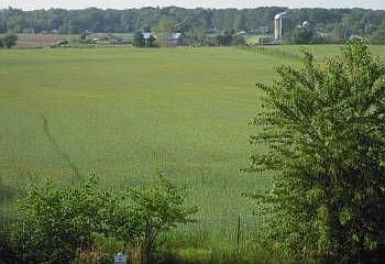 2nd image of 517 Clint Ln